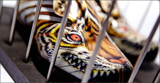 adidas-Tunit-YY-Tiger-Img7